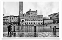 Umbrellas and tourists - B&W