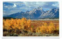 Grand Tetons from Willow Flats