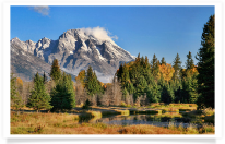 Schwabacher Landing Pond