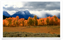 Oxbow Bend Fiery Leaves