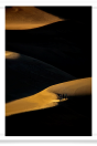 Dune Hikers in Late Afternoon Light