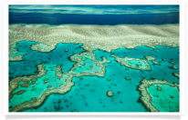 Great Barrier Reef Coral and Lagoon
