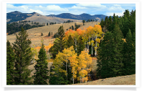 Autumn Above Hayden Valley