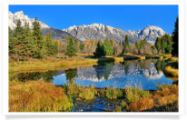 Schwabacher Landing Pond