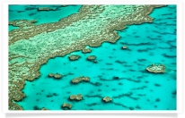 Aerial Coral Reef View