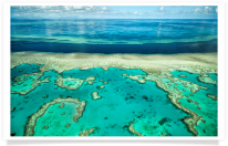 Aerial Great Barrier Reef River and Ocean