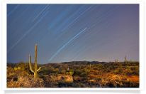 Saguaro Star Landscape