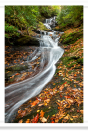 Roaring Fork Waterfall Gully