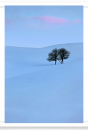 Snowy hillside and barren trees