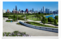 Chicago Skyline, Flowers & Boats
