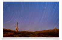 Saguaro Desert Star Trails