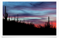 Saguaro Red Sky Panoramic