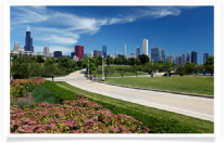 Chicago Skyline and Joggers